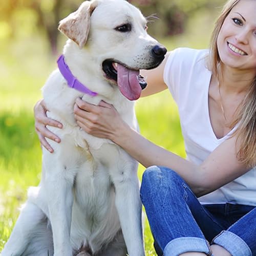 Beruhigendes Hundehalsband, Haustierhalsband zur Beruhigung | 4-teilige Langzeit-Entlastungshalsbänder mit einstellbarer Länge bis zur Trennung | Beruhigendes Zubehör für Jahr