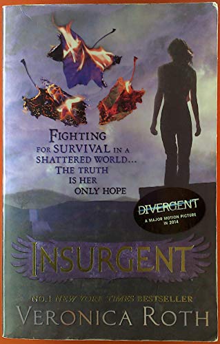 Insurgent view 2