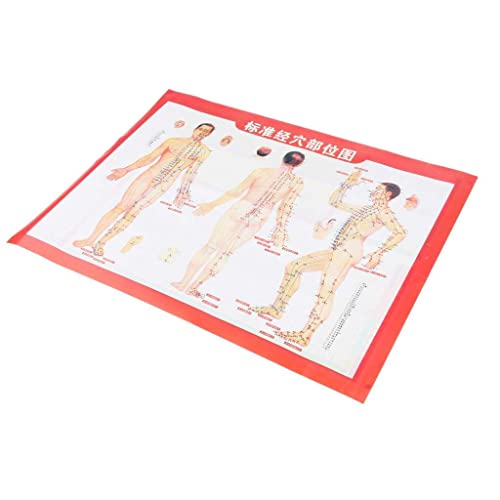 Generic Acupuncture Meridian Poster Acupuncture Human Body Figure Practical Figure