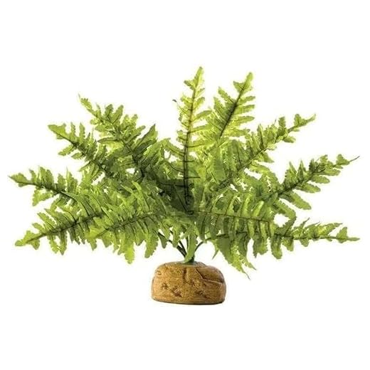 Exo Terra Boston Fern Terrarium Plant, Small