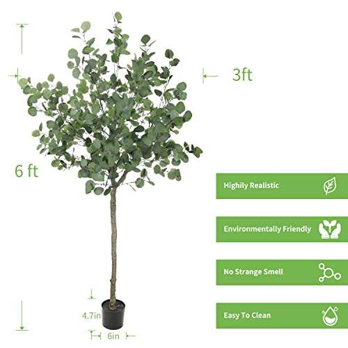 Realead Artificial Eucalyptus Tree 6Ft Tall, Large Eucalyptus Stems Faux Plants With 640 Silver Dollar Leaves, Artificial Trees For Modern Office House Living Room Home Decor Indoor #TOP1