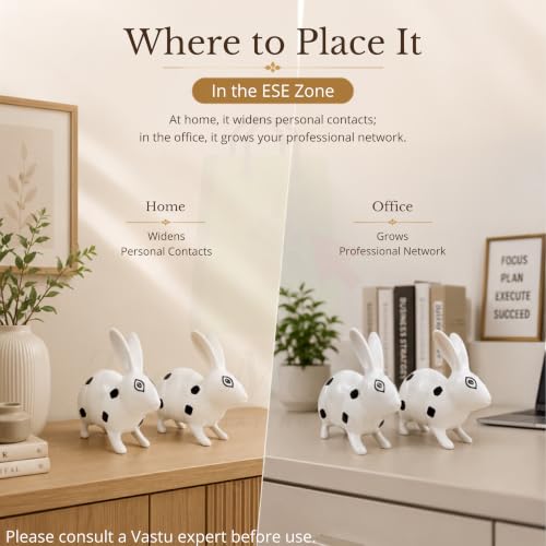 Image of Brass Rabbit Pair Statue | Weight - 490 G Approx | Vastu Shastra | Home Decor Statue | Vastu Remedy | Wealth and Prosperity | Material- Brass | Black and White Painted |