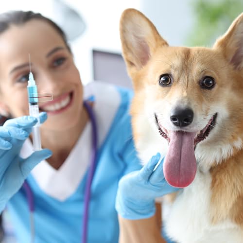 Image of Glenmal 3 Roll Syringe Line Stickers 1.5 inch x 0.5 inch Dosage Marking Clear Label Bright Red Indicator Line Pharmacy Labels for Veterinary Medical Pharmacy Medication Healthcare Medicine, 500 Pcs Per Roll