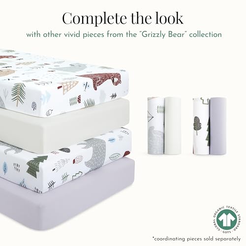 Image of Evolur Grizzly Bear 3 Piece Toddler Bedding Set, Super Soft and Breathable Toddler Bedding, Machine Washable, Includes Fitted Sheet, Comforter and Pillow Case