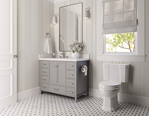 Ariel 43" Inch Grey Bathroom Vanity W/ 1.5" Inch Edge Pure White Quartz Countertop & Backsplash | Rectangular Sink | 2 Soft Closing Doors And 9 Full Extension Dovetail Drawers | Satin Nickel Pulls #TOP2