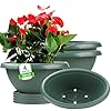 4 Pack 14 inch Plant Pot Windowsill Planter with Drainage Hole Tray Saucer Oval Planters for Outdoor Plants Garden Indoor Home Vegetable Flowers Decorative Plastic Large Flower Pots Green