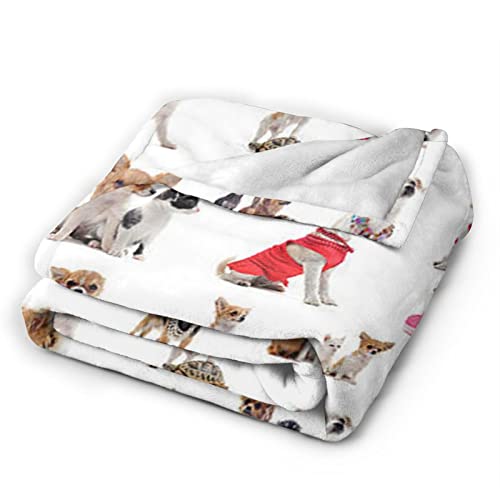 Couverture microfibre chaude et légère pour lit lavable et ultra douce - 3