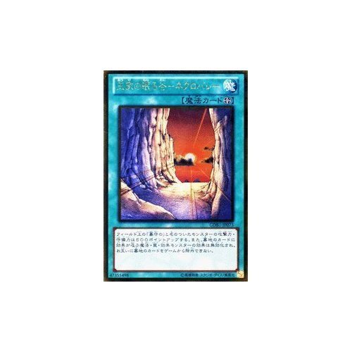 Amazon.co.jp: 遊戯王カード 【王家の眠る谷－ネクロバレー 
