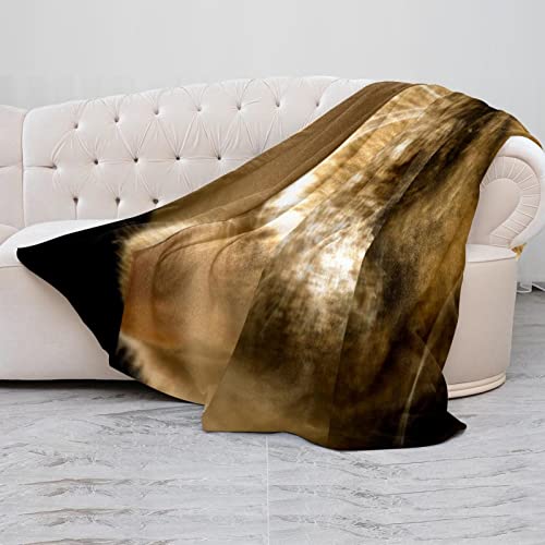Couverture en peluche chat tigré couverture de sieste douce en microfibre