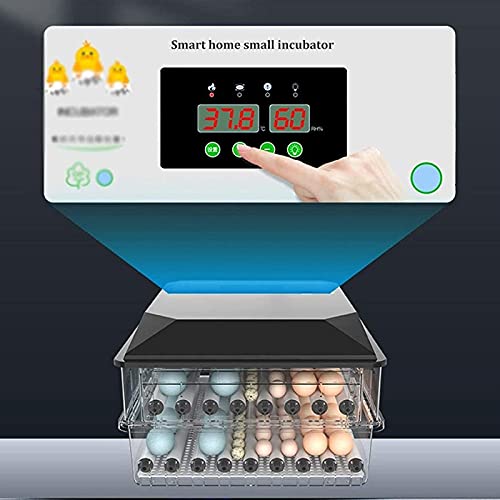 Ei incubator, broedende incubator 96 eieren met automatische Turner voor broedeier Turkije Goose Quail Ducks Chicken… - Afbeelding 6