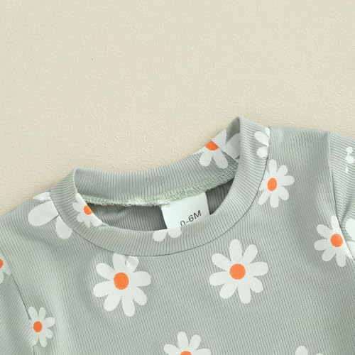 fhutpw Toddler Baby Girls Summer Outfits Daisy Ruffle Short Sleeve T-Shirts Tops Floral Shorts 2Pcs Clothes Set 6M-4T (E Green, 6-12 Months)