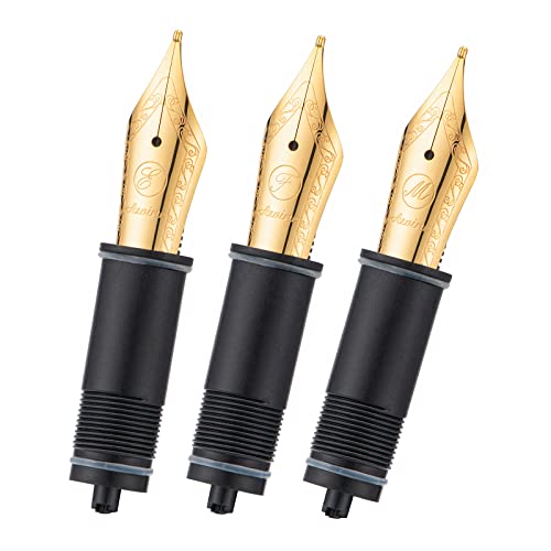 Asvine 3 PCS Fountain Pen Replaced Nibs, #6 Gold Plated EF/F/Medium Nib V169, P20, P30 and V126, NOT Fit P36