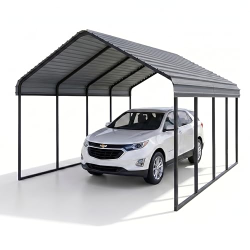 RITERYIFER 10x20 ft Heavy Duty Metal Carport for 1-2 Cars