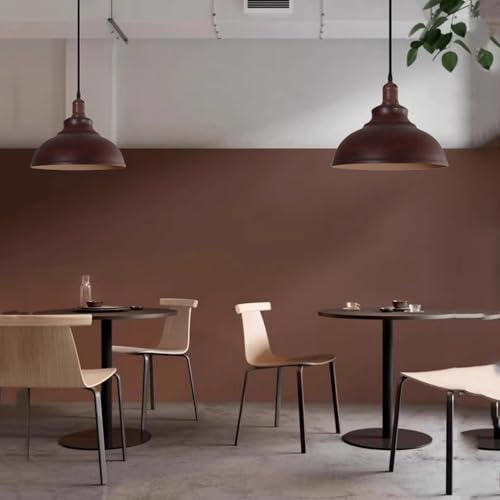 Lustre industriel rétro suspension réglable pour éclairer table - 6