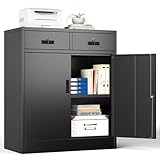 TaskStorz Armoire de Rangement en Métal Noir 90x80x40cm, Verrouillable à...