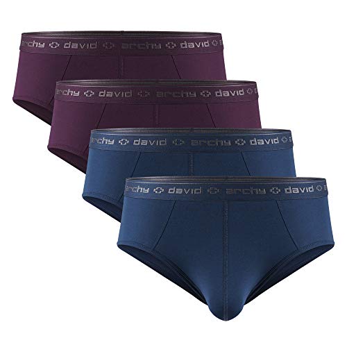 DAVID ARCHY Men's 4 Pack Micro Modal Separate Pouch Briefs with Fly (L, Navy Blue/Wine)