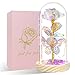 Produktbild HADSOMUN Valentinstagsgeschenke für Sie, Geburtstagsgeschenke für Frauen, Geschenke für Frauen, Geschenke für Mutter, Freundin, Ehefrau, Bunte Rose in Einer Glaskuppel, Geschenke für den Valentinstag