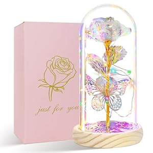 HADSOMUN Glass Rose in A Glass Dome,Gifts for Women,Birthday Gifts for Women Mom,Valentines Flowers Roses Gifts for Women Girlfriend Wife Valentines Day Mothers Day