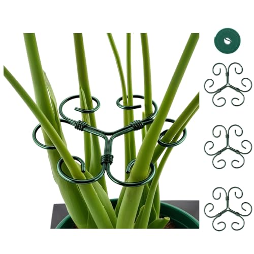 DHGKVK 4X Pflanzenstütze 1 0m Klettband zur flexiblen Befestigung.pflanzenhalter für Blumen Rosen Tomaten - Monstera Rankhilfe und Pflanzenhalter aus Metall Stauden und Hortensien. (Grün)