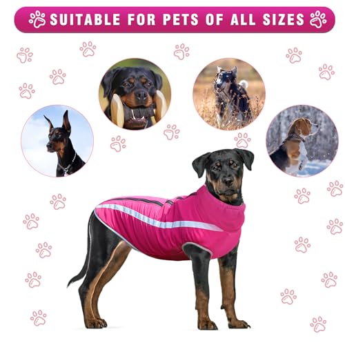 Hunde Winterjacke, Warme Hundejacke Mantel für Mittlere und Große Hunde Winter Wasserdicht Hundekleidung Reflektierende Fleece Welpen Outdoor-Mäntel für Labrador, Bulldogge, Samoye (4XL/53cm, Rosa)