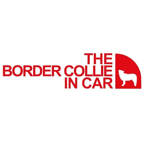 AEghA {[_[R[   Vv  XebJ[ V[ hbO C J[  Ă܂ Lv oR uh 킢 ObY G Mtg v[g j q Ԃ JCC IV h  (329