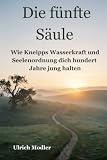Die fünfte Säule: Wie Kneipps Wasserkraft und Seelenordnung dich hundert Jahre jung halten (Die Longevity Masterclass, Band 3)
