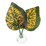 CAPASTEC Betta Fish Leaf, Natural Habitat Simulation for Betta Spawnings Grounds, Betta Spawnings Leaves, Resting Bed, Double Leaves, Orange Deep Green