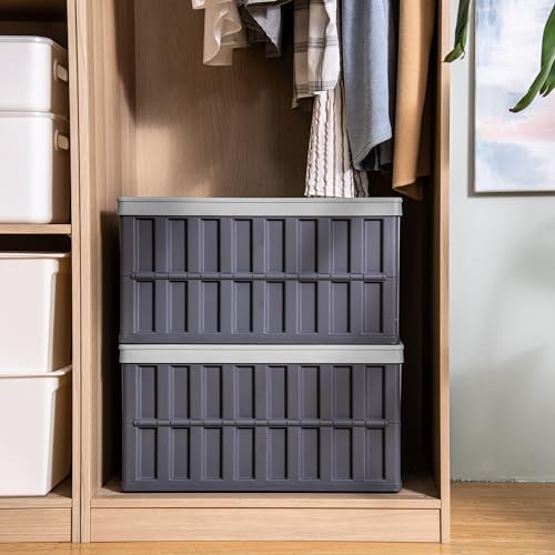 Citylife 2er Set 64L Faltbare Campingbox Aufbewahrungsbox mit Deckel, Collapsible Storage Bins für die Organisation große Heavy Outdoor, Bad, Küche, Büro, Wohnzimmer (grau)