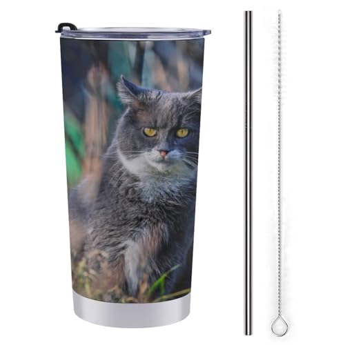 L   XeX}OJbv X^CbV 600ml ۗ ۉ Wt ^u[ 򂪗e d\ S ڂȂRbv ݑԗp