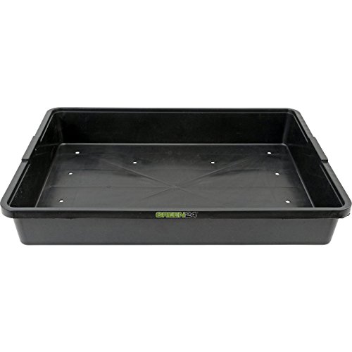 GREEN24 Profi Gewächshaus-Wanne XL565G gelocht für Pflanzen, Gewächshäuser und Garten