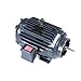 Leeson Electric 810007.00 - Vector Drive Motor with Encoder - 3 ph, 20 hp, 1800 rpm, 230/460 V, 256TC Frame, Totally Enclosed Non Ventilated Enclosure, 60 Hz