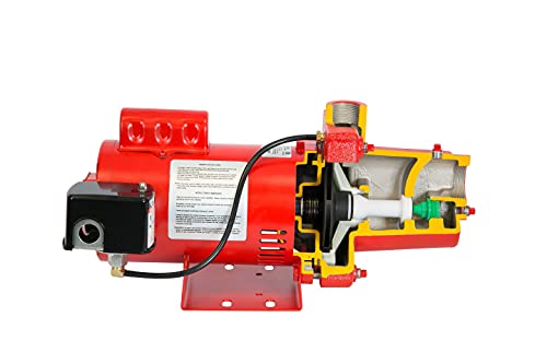 Red Lion Rjs-100-Prem 1 Hp, 23 Gpm, 115/230 Volt, Premium Cast Iron Shallow Well Jet Pump, Red, 602208 #TOP3