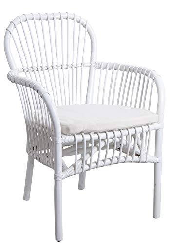 AUBRY GASPARD Fauteuil en rotin Blanc avec Coussin Epimède