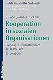 Kooperation in sozialen Organisationen: Grundlagen und Instrumente der Teamarbeit (Module angewandter Psychologie)