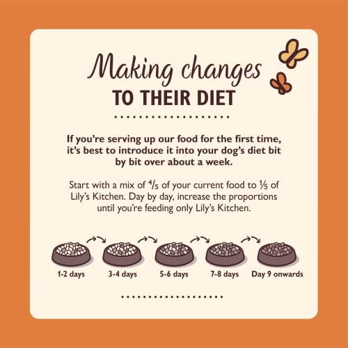 Lily's Kitchen Chicken and Duck Countryside Casserole Natural Grain Free Complete Adult Dry Dog Food, 12 kg (Pack of 1,Packaging May Vary)
