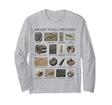 Tableau fossile éducatif avec d'anciennes créatures préhistoriques telles que les trilobites, les ammonites, les euryptérides, les empreintes de ptérosaures, les crinoïdes, les fossiles nautiloïdes, et plus encore. Parfait pour les fans de paléontologie, les collectionneurs de fossiles et les amateurs d'histoire naturelle.