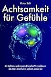 seibt versicherungen  Achtsamkeit für Gefühle: Mit Meditation und innerem Erforschen Stress abbauen, das innere Team führen und sein, wer du bist