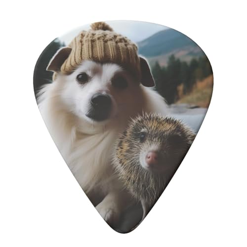 Evanem M^[sbN GNgbNENsbNp I[KiCU[[{bNXtGNgbNENsbNpwbWzbOƌpx[XsbN 6pbN AR[XeBbNM^[p 0.71mm