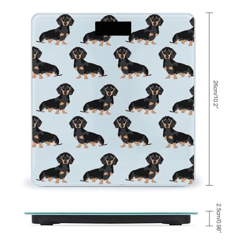 Báscula digital de baño para mascotas Dachshund Weiner miniatura 2