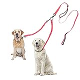 best double dog leash