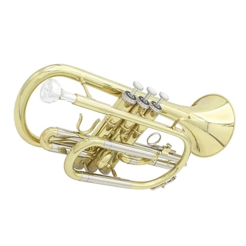 gybg vdlBbRlbgAbL̋ǊyA}EXs[XA܁AN[jONXALOP[Xt