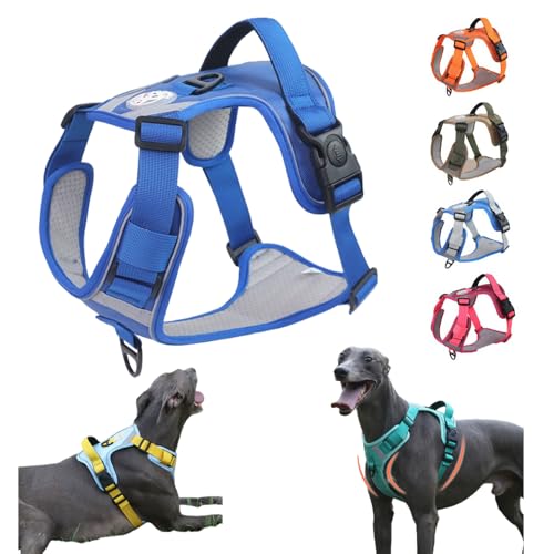 yVozp n[lX, ̎ pbhxXg, ˍޕt ^/^/^ L U/P/o|/ ybg ́[˂ Ȃ y EȒP \ ʋC iJ[7jiTCYLC1j