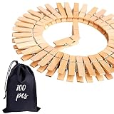 Small Clothes Pin, Mini Clothespins for Crafts,100 PCS Mini Clothes Pins Wooden with Storage Bag,Sma