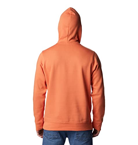 Image of Columbia mens Trek Hoodie
