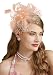 Flower Cocktail Tea Party Headwear Feather Fascinators Top Hat for Girls and Women (Champagne)