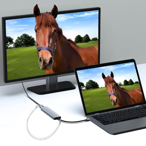 Juego de 5 correas ajustables para cable universal de computadora y dongles 6