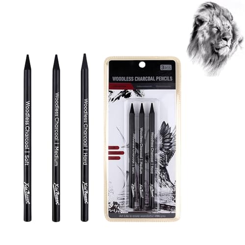 Hyleon Charcoal Pencils for Artists Drawing Pencils for Professionals And Artists 3Pcs Charcoal Pencil Graphite Stick Black Art Pencil for Rich Shading Drawing & Art DIY Sketching