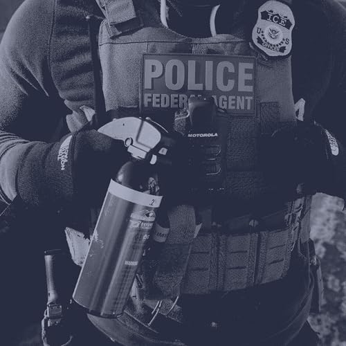 Senate Dems demand immigration enforcement reforms before funding DHS