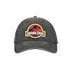 Bioworld Jurassic Park Classic Logo Unstructured Baseball Hat (58cm), Jpa Classic Logo, One Size fits Adults and Teens #1