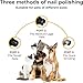 Ayland Silent Groom Pro Nail Grinder, 2025 New Nail Grinder for Dogs and Cats with LED Light & 3 Speeds, 2000mAh USB Rechargeable Dog Nail Trimmer for Thick Nails (1pc+2 Heads)